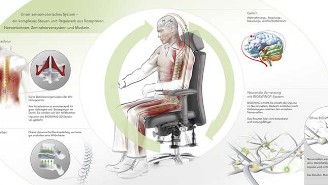 Haider Bioswing Bürostühle mit Schwingtechnologie